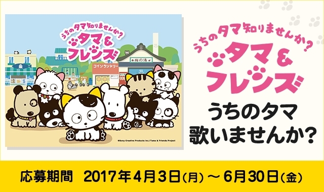 「DAM☆ともから応募！TVアニメ「タマ＆フレンズ～ウチのタマ知りませんか？～」の主題歌を歌ってくれる歌い手を募集!!」