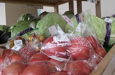 夏野菜のこの彩り☆<br>トマトもこ～んなに大きいぞ！