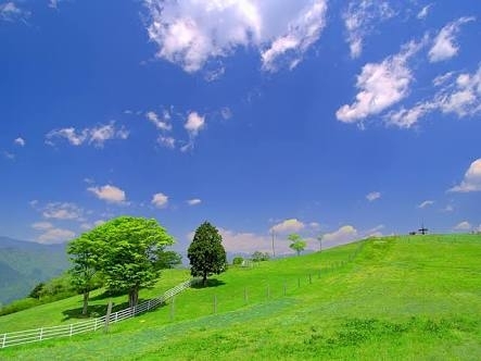 「本日は初夏の気温になる様です(o^^o)」