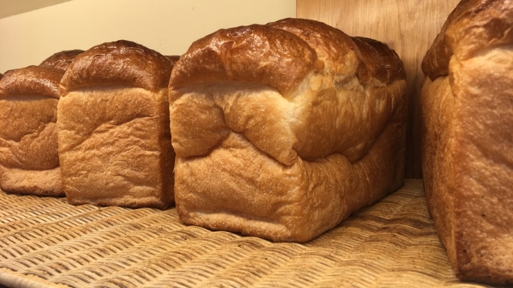 「食パン‼️」