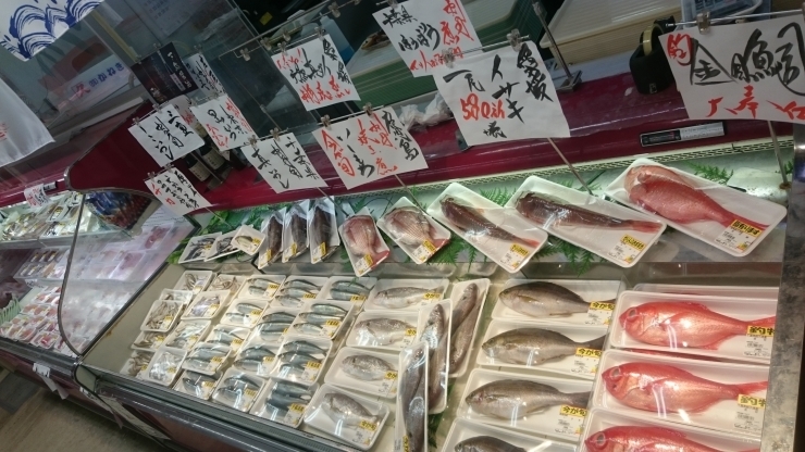 「八千代市、佐倉市の鮮魚店　5月24日本日の売り場」