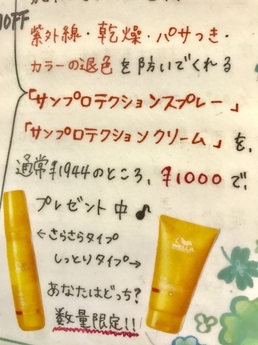 「サンプロ1000円今月まで！」