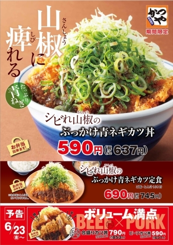 「期間限定メニュー！シビれ山椒のぶっかけ青ネギカツ丼」