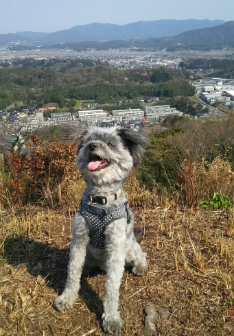 「✡7月の休診のお知らせ✡」