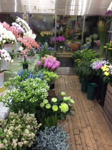 「今晩は、黒部の花屋さん花水木です。」