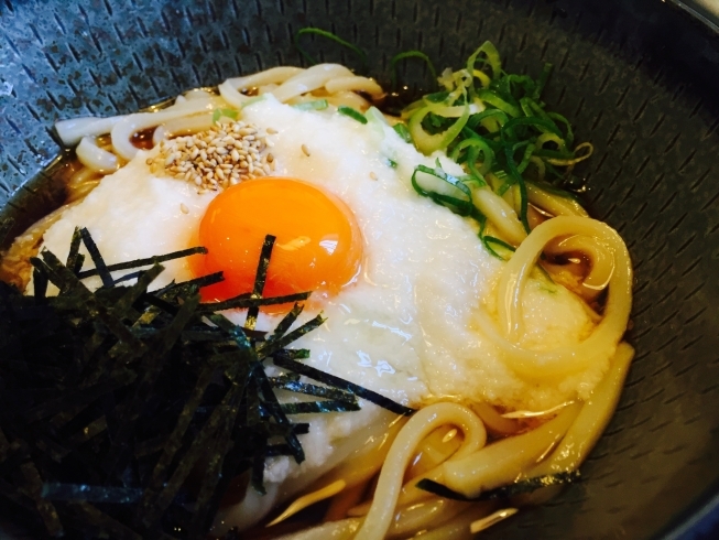 「こだわりの【山かけうどん】はいかがですか？」