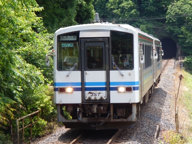 「ブッポウソウと常清滝ツアー」