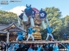 2022/10/18|江口太鼓台(一宮神社かきくらべ)byまいぷれ新居浜