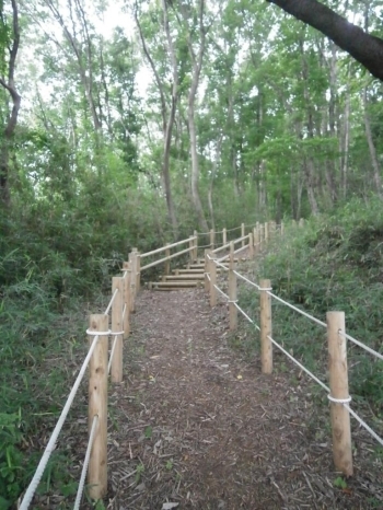 土がほどよく柔らかくて歩き心地のよい歩道でした。