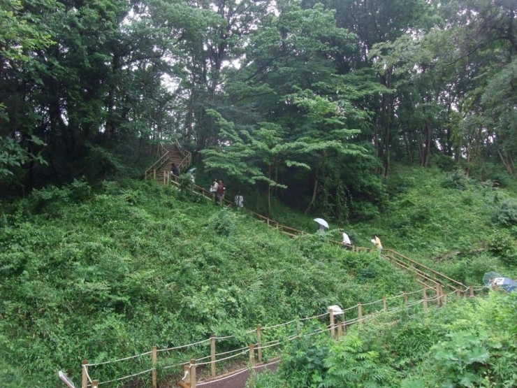 生態園は、普通に歩くと15分程度で一周することができるので、自然を観察しながら歩くのもよいですね。<br>自然を大切にする気持ちが生まれてくる15分間をぜひ体験してみてください。