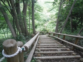 階段もあるので、気をつけて歩きましょう。