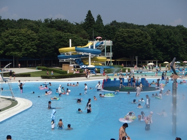 「待ってました！那須野が原公園ファミリープール7/14（金）OPEN！！」