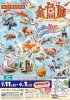 金魚展 ～今日からはじめる金魚ライフ～」inなかがわ水遊園 | まいぷれ