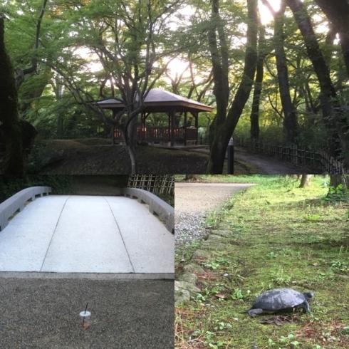 「早朝の古城公園」