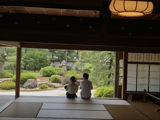 「出雲祝言に興味がある方、見学できますよー╰(*´︶`*)╯♡」