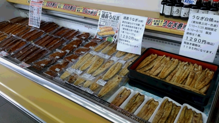 「８月５日から朝焼き鰻の販売を再開します(^^♪」