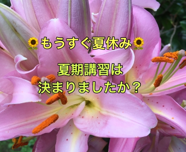 「宮本・若松・湊地区の小中学生の皆さん！夏期講習は決まりましたか？」