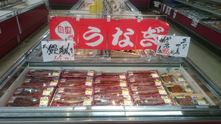 「八千代市、佐倉市の鮮魚店    　 魚や山粋　土用の丑の日　鰻握り、丼もご用意！！」