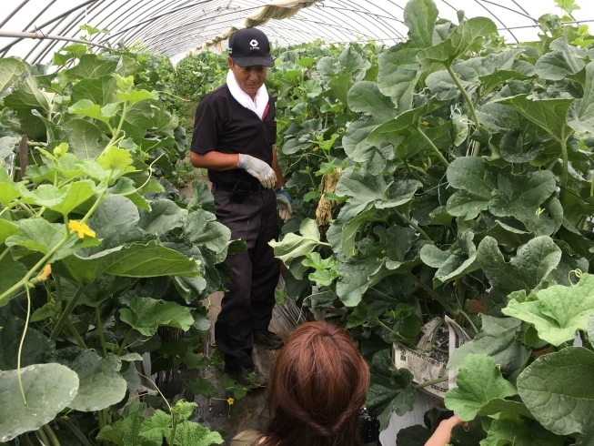 「伊丹市ふるさと寄附業務準備の視察で茨城県行方市へ」