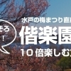 【水戸】偕楽園を10倍楽しむ方法 水戸の梅祭り直前大特集!【偕楽園】