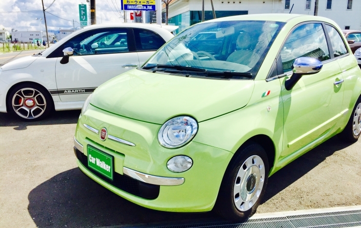 「【ラインナップ情報】FIAT500 GUACAMOLE」