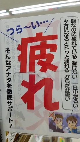 「夏バテ、慢性疲労ありませんか？」