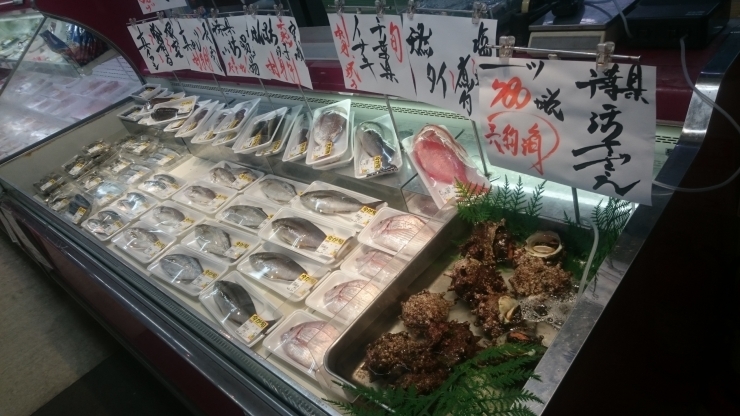 「八千代市、佐倉市の鮮魚店  　　魚や山粋　えぼ鯛　その他広告特売」