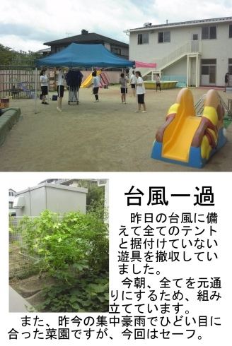 「８月９日は園庭開放です。８日は晴れの予想に反して、昼に大雨が。しかし、その後晴れたので、明日の園庭開放は、たぶん大丈夫。」