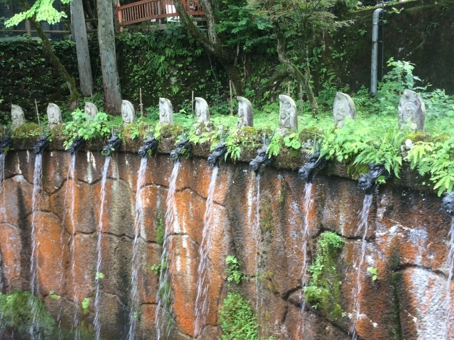 「日石寺に行って来ました。」