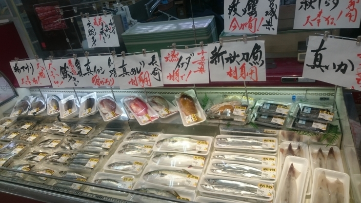 「八千代市、佐倉市の鮮魚店  　　本日の対面!!」