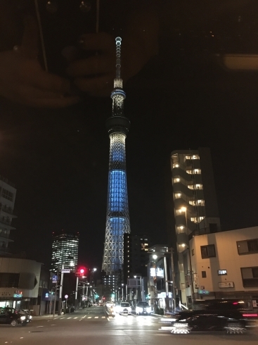 「花ちゃんニュース　　ヘナ染め」