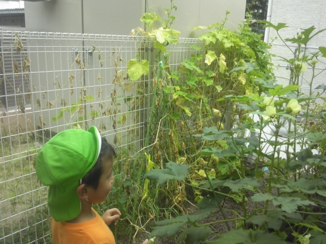 「９月の子育て事業予定を掲載中」