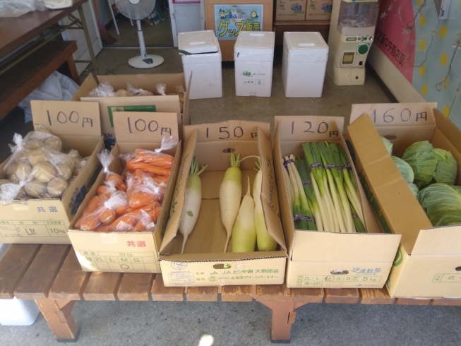 「本日最終日！北海道産　新鮮野菜直売会　10時から！」