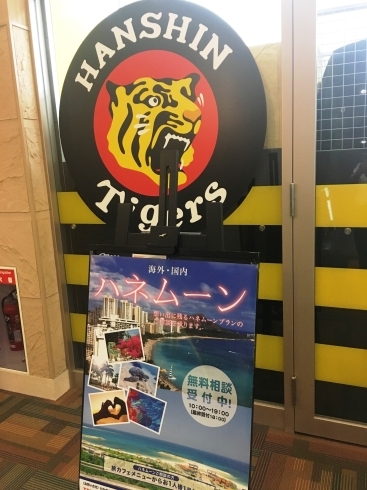 「阪神タイガース応援ツアー！まだ間に合います」