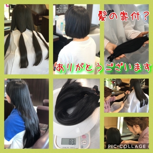 「✂︎美容室〜femmeファム✂︎ヘアドネーション(髪の寄付)(^_^)」