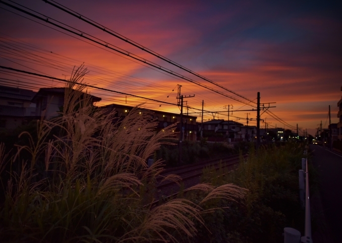 「9月13日の夕日。」