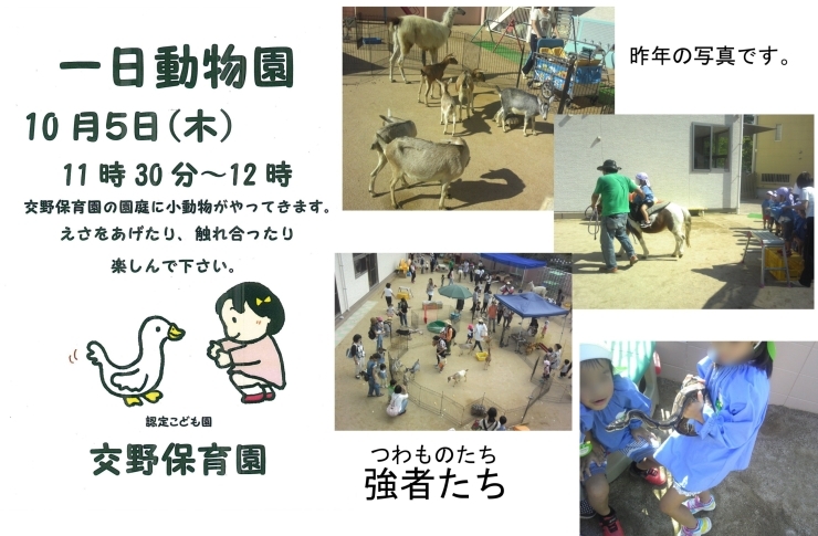 「毎年恒例の「一日動物園」の日程が決まりました。」