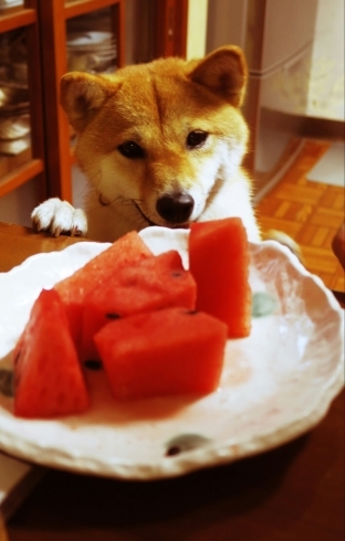 「ぶどうのおいしいこの季節」