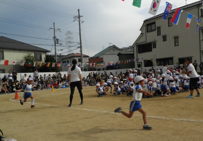 「園長の日記（運動会当日）」