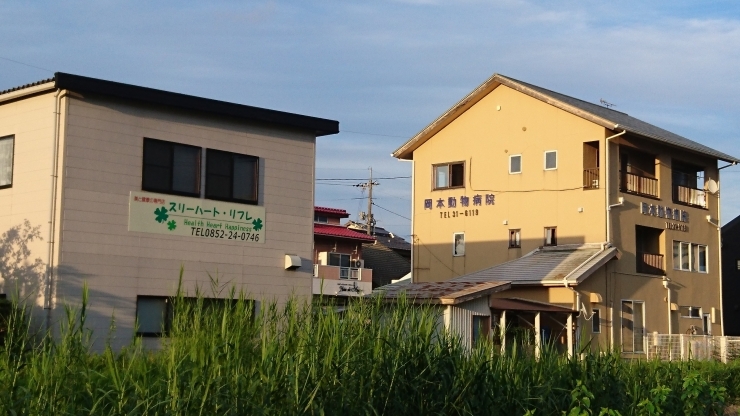 「岡本動物病院さんの隣です♪( *´艸｀)」