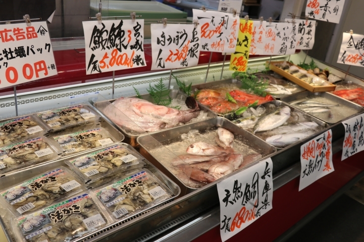 「八千代市、佐倉市の鮮魚店   　　　魚や山粋　広告特売開催中」