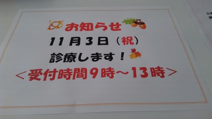 「11月3日診療します。」