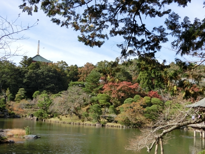「第十八回　成田山公園紅葉まつり　開催」