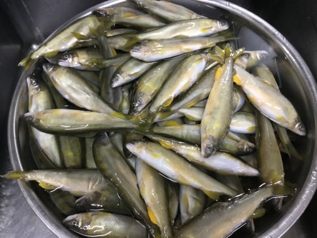 「おせちの準備 子持ち鮎の甘露煮」