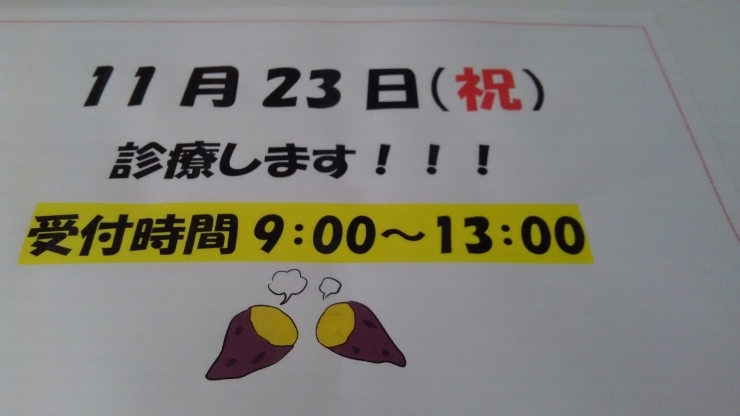 「11月23日診療します。」