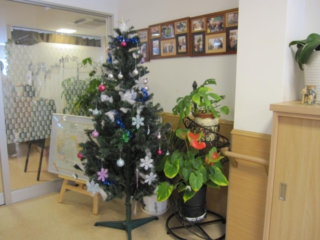 「クリスマスですねぇ☆　　高住センターから、クリスマスの飾りつけをされている老人ホーム見学情報です。」
