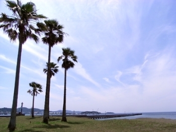 太平洋が見えるぞー