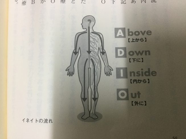 「自然治癒力って何？説明しますイネイト哲学！」