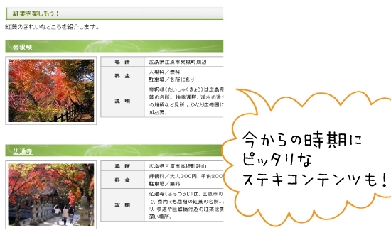 「紅葉を楽しもう！」「サイクリングに行こう！」など、内容も充実しています☆