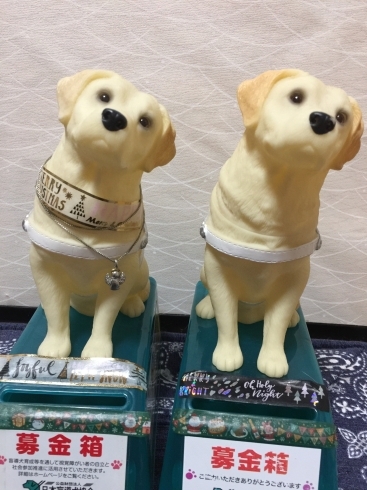 「盲導犬チャリティーイベントはたくさんのご寄付を頂きました！」